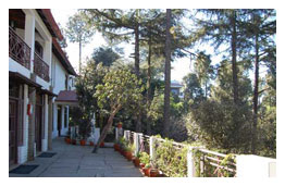 Kasaar Jungle Resort 